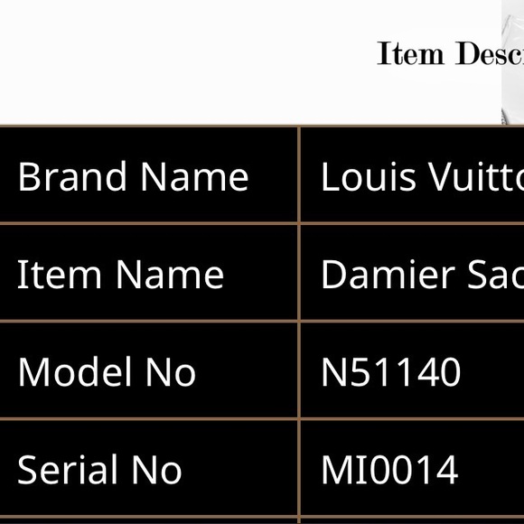 LV Sac Plat tote bag in the Damier Ebène canvas and brown leather trim - Picture 14 of 16